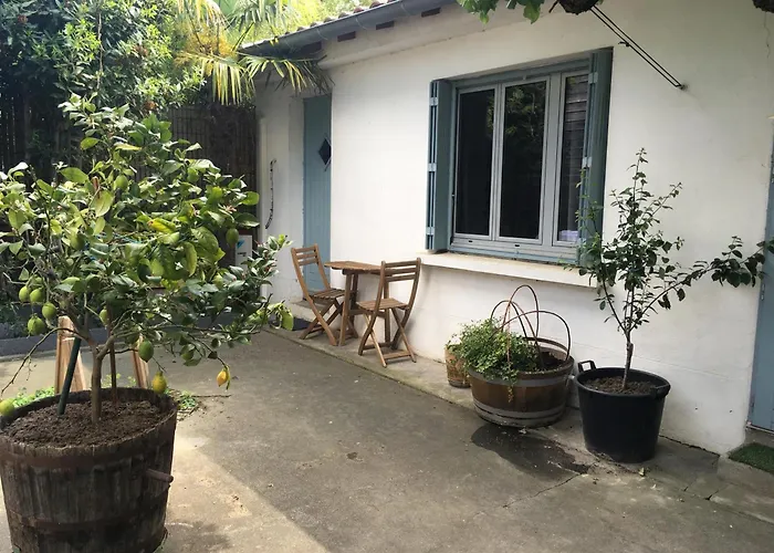 Jolie Chartreuse 3* Toulouse